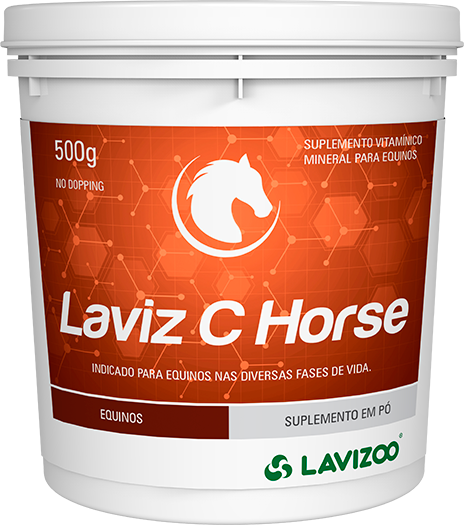 Laviz C horse