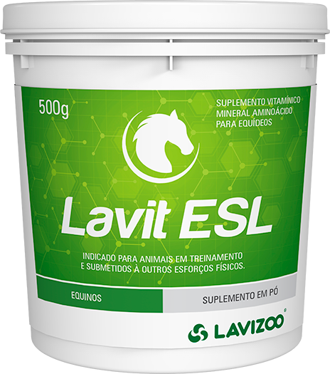 Lavit ESL