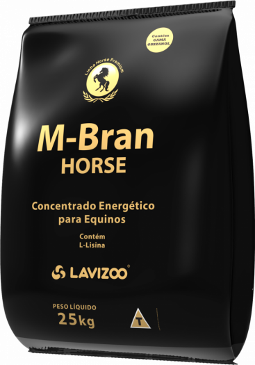 M-Bran Horse