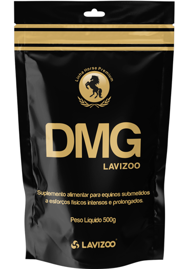 DMG