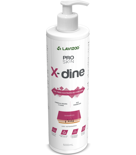 X-DINE