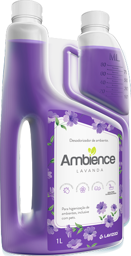 Ambience