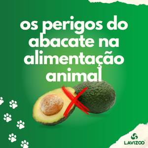 PERIGOS-DO-ABACATE-NA-ALIMENTACAO-ANIMAL.png (102 KB)