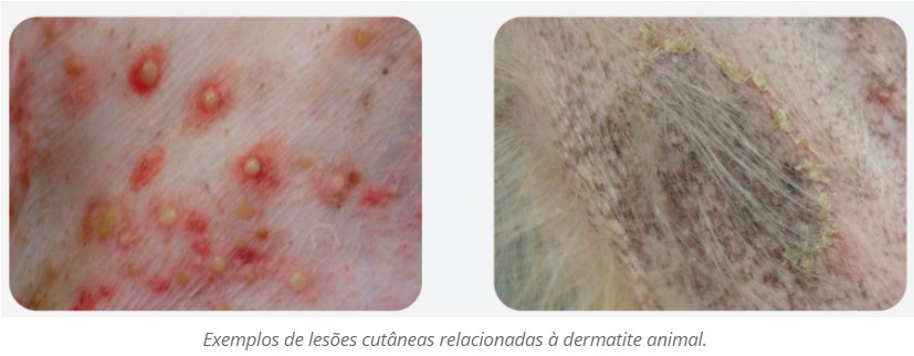 lesoes-alergia-caes.jpg (52 KB)