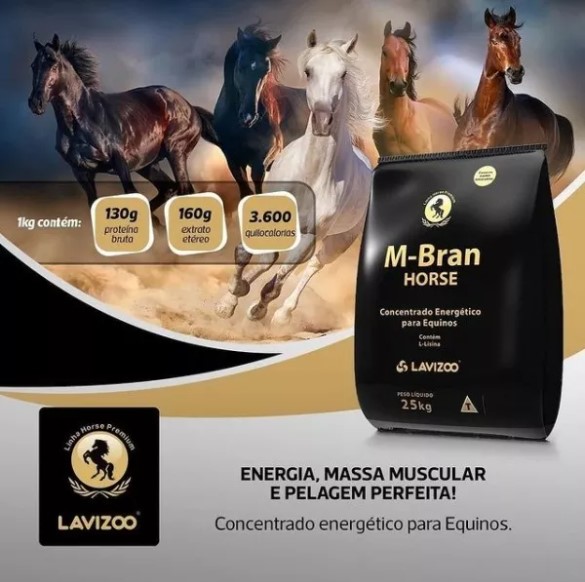 m-bran-horse-blog.jpg (74 KB)