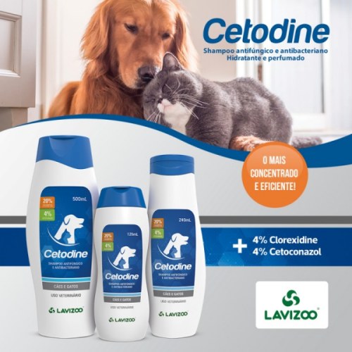 Dermatite Atópica Canina: Causas, Sintomas e Tratamento