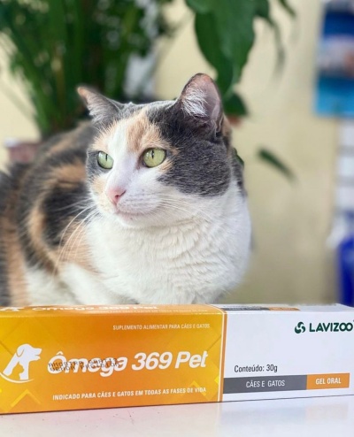sarna em gatos omega 369 lavizoo