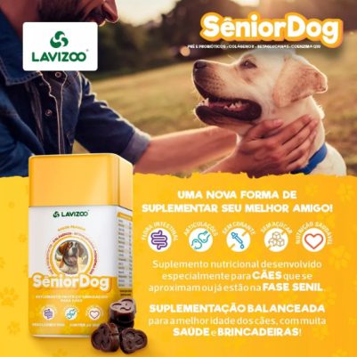 senior-dog-lavizoo.jpg (36 KB)