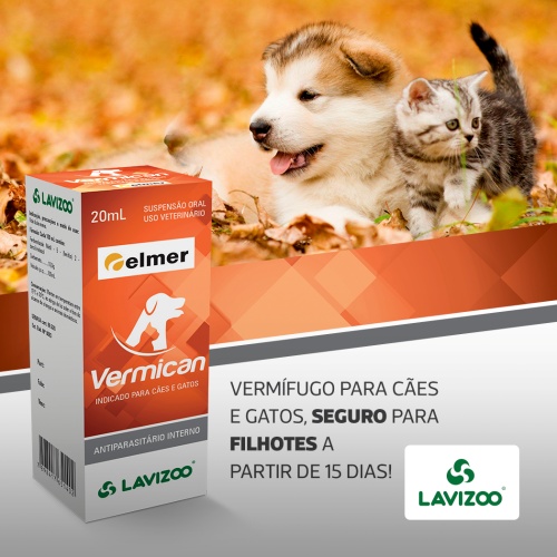 vermican-vermifugo-caes-gatos.jpg (95 KB)