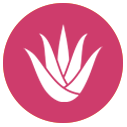 icone-aloe-vera.png (5 KB)