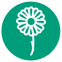 icone-camomila.png (9 KB)