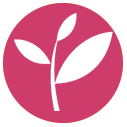 icone-tea-tree.png (10 KB)