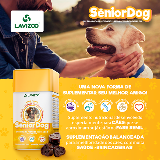Sênior Dog